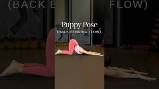 Puppy Pose  Back Bending Flow  Yoga For Strength  Yoga Back Stretch  Yoga Flow shorts [upl. by Llerat]