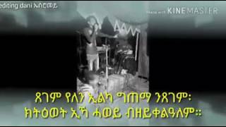 New Eritrean Music 2017  Semere Habtemariam Wegeney [upl. by Elleinod]