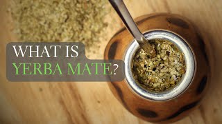 What is Yerba Mate Yerba Mate Facts and More [upl. by Gruchot]