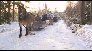 Kom med oss på en natur och kulturupplevelse i Finnskogen [upl. by Lorilee]