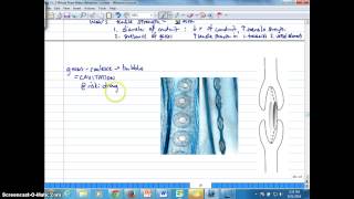 Ch 2K Tensile Strength Cavitation and Embolism [upl. by Haram]