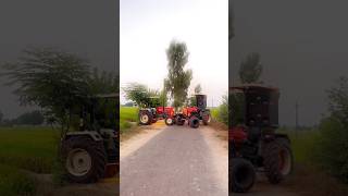 New Holland 3630 special edition Swaraj Dilo ki dhadkan automobile tractorlover tractorvideo [upl. by Aradnahc]