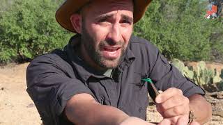 3 Peores picaduras de Coyote Peterson  Brave Wilderness [upl. by Geesey]