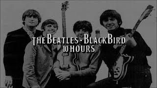 Blackbird by The Beatles for 10 Hours [upl. by Tseng901]