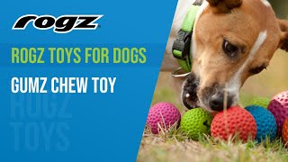 Rogz Toys for Dogs  Gumz Chew Toy [upl. by Hedvig]