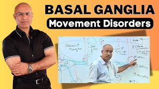 Basal Ganglia and Movement Disorders  Neurology [upl. by Coffey326]