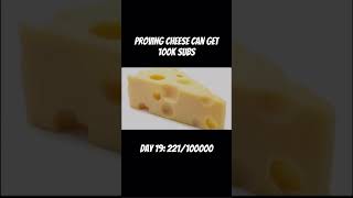 Proving cheese can get 100k subs day 19 cheese [upl. by Stauffer]