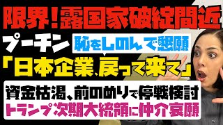 【もう限界！露国家破綻間近】プーチン大統領が恥をしのんで懇願「日本企業、戻って来て」資金枯渇、前のめりで停戦検討…トランプ次期大統領に仲介哀願 [upl. by Berta]