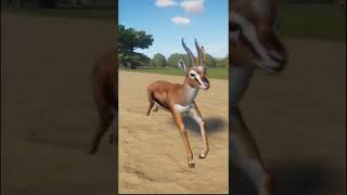 Thomsons Gazelle Running in Planet Zoo Shorts [upl. by Oinotna]