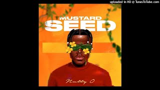 Nutty O Mustard Seed Album Mixtape By DJ SEAN GEE 263787534764 September 2021 [upl. by Ahsercul654]