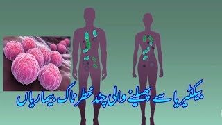 Bacteria and GONORRHEA SEXUALLY TRANSMITTED DISEASE STDسوزاک اور بیکٹیریا [upl. by Airdnalahs]