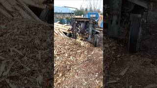 Wood debarking – good tools and machinery make the job more efficient [upl. by Vona751]