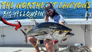 Yellowfin Tuna Fishing the Northeast Canyons Hydrographer [upl. by Anaibib157]