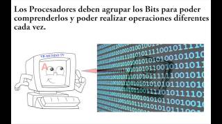 BITS amp BYTES programa 1 de INFORMATICA BASICA [upl. by Bathulda]