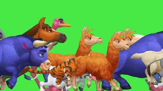 Animal stampede green screen  green screen cartoon video no copyright [upl. by Suhsoj]