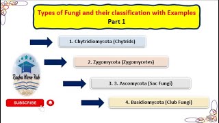 Classification of Fungi  Chytridiomycota  Zygomycota  Ascomycota  Basidiomycota mycologypart1 [upl. by Zicarelli23]