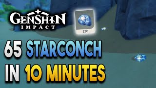 Starconch Locations  Fast and Efficient  Ascension Materials 【Genshin Impact】 [upl. by Ettennej]