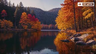 Relaxing Autumn Ambience and Nature Sounds for the Best Sleep Ever in 4K [upl. by Annavas459]