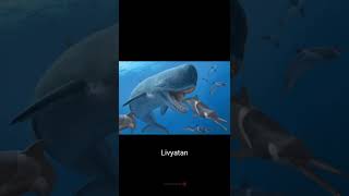 Ballenas prehistóricas Prehistoric whales Cetácea ballena animales prehistoria shorts [upl. by Mildrid]