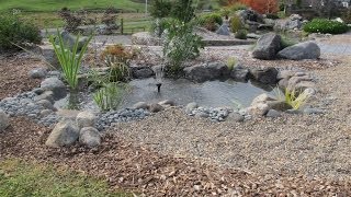 How to build a small fish pond [upl. by Ava]