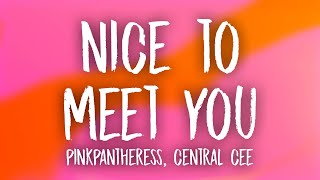 PinkPantheress  Nice to meet you feat Central Cee Lyrics [upl. by Elleirad997]