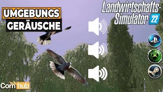 LS22 Mods  Umgebungsgeräusche  LS22 Modvorstellung [upl. by Vinna]