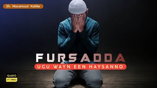 FURSADDA UGU WAYN EEN HAYSANNO  Allow Na karsii  Sh Maxamuud Xaliike [upl. by Cathi291]