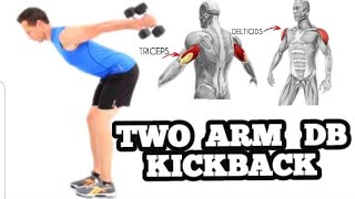 Kickback Your Arms with Dumbbells  How to Do Two Arm Dumbbell Kickbacks [upl. by Aldridge655]