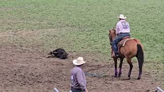 Calf Ropin Thur Perf  Pendleton Roundup 2024  9122024 [upl. by Greiner]