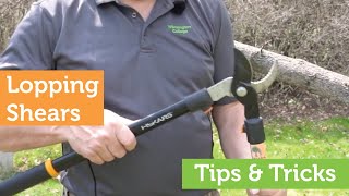 Using Lopping Shears Tips amp Tricks with Brad Schwamberger  Wilmington College [upl. by Caresse]