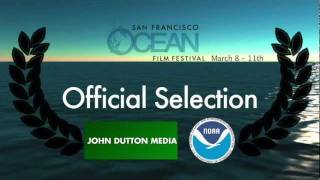 The Whale Disentanglement Network  Official Selection San Francisco Ocean Film Festival [upl. by Ranie]