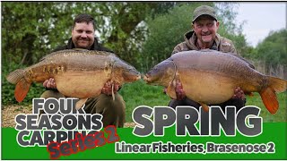 CARP FISHING FOUR SEASONS CARPING SPRING LINEAR FISHERIES BRASENOSE 2 [upl. by Reinnej601]