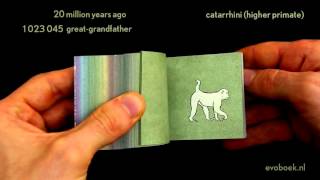 550 million years of human evolution flipbook [upl. by Nonnaer978]