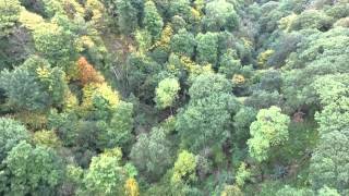 Binning Wood and Cockburns Path Scotland  Phantom 3 Advanced Drone [upl. by Sorgalim933]