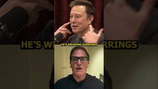 Rogan And Elon Roasting Mark Cuban [upl. by Hugh]