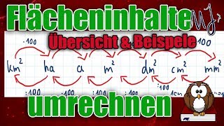 Flächeneinheiten umrechnen  Einfach mit einer Übersicht  Mit Beispielen [upl. by Fabri440]