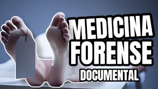 Medicina Forense 🇪🇦 Documental [upl. by Yhtomit]