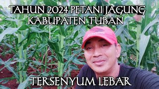 Harga Jagung tertinggi di Tahun 2024 [upl. by Eirojam275]