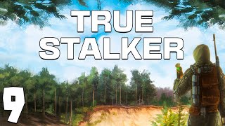 STALKER True Stalker 9 Код от Сейфа и Уникальная Гроза [upl. by Thursby]