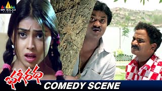 Venu Madhav and Sunil Ultimate Comedy Scene  Bhageeratha  Telugu Funny Scenes SriBalajiComedy [upl. by Otineb]