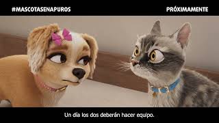 La Vida Secreta de tus Mascotas  Tráiler Oficial  Prime video [upl. by Nnaegroeg421]