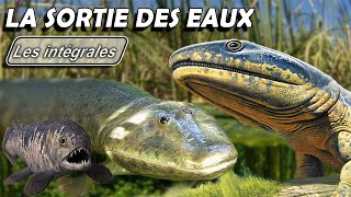 Aux origines des amphibiens  La sortie des eaux  Intégrale  paléontologie  Simplex Paléo [upl. by Iong]