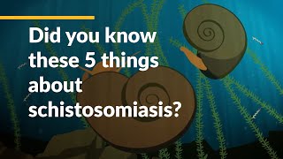 Did you know these 5 things about schistosomiasis [upl. by Wymore]