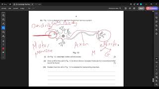 OL Biology  IGCSE  Nov 2022 Paper 4 Variant 3 [upl. by Aklim]