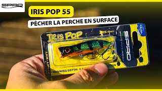 IRIS POP 55 Pour faire monter les CARNASSIERS [upl. by Yztim521]