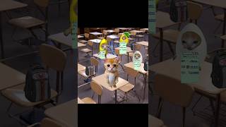 Banana cat school exam day 9 bananacat funny cutecat [upl. by Seline]