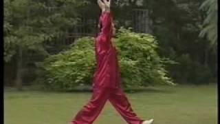 Lian Gong continuaçãoI Qi Gong exercicios 7 a 12 [upl. by Htebzile1]