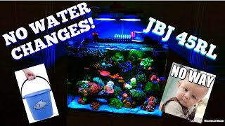 NO WATER CHANGES EVER [upl. by Maidy]