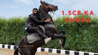 15cr Da GHODA  HORSE RIDING🏇  STEAM BATH  GYM  DAILY VLOG [upl. by Shaw285]