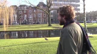 010nu  Op zoek naar zeldzame vogels in Rotterdam [upl. by Kcinemod107]